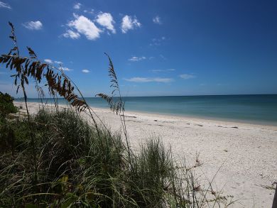 Bonita Springs Condo 928830