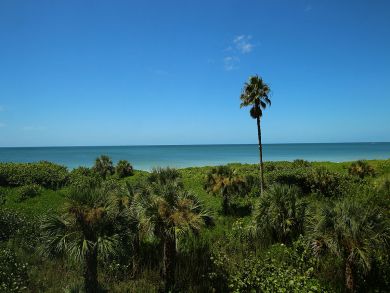 Bonita Springs Condo 928830