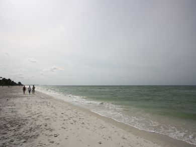 Bonita Springs Condo 928854
