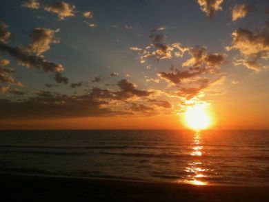 Venice Condo 928896