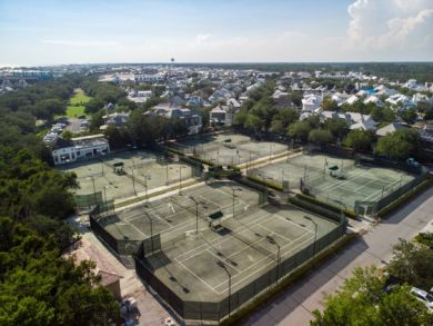 Beaches Of South Walton Condo 928946