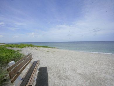 Siesta Key Condo 928971