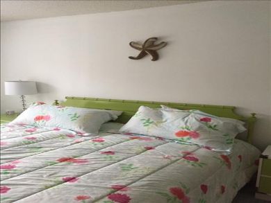 Siesta Key Condo 928976