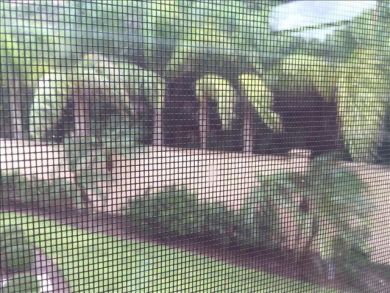 Siesta Key Condo 928977 Siesta Key Condo 928977