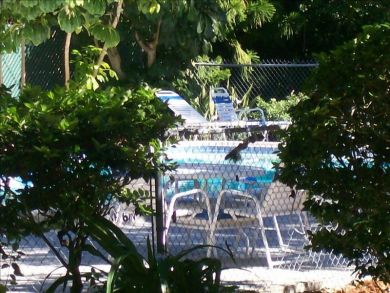 Siesta Key Condo 928981