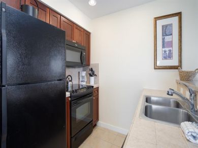 Beaches Of South Walton Condo 929000