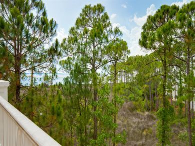 Destin Home 929001