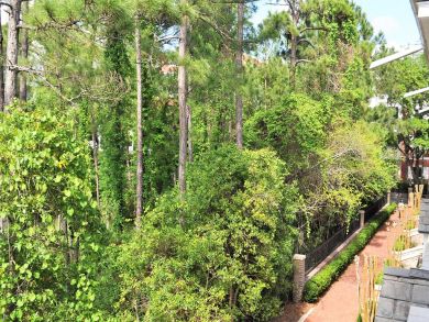 Destin Home 929001