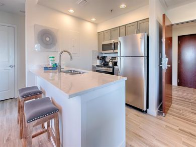 Beaches Of South Walton Condo 929033