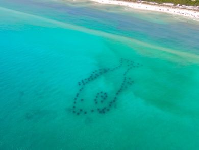 Beaches Of South Walton Home 929055