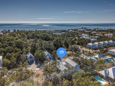 Beaches Of South Walton Home 929068