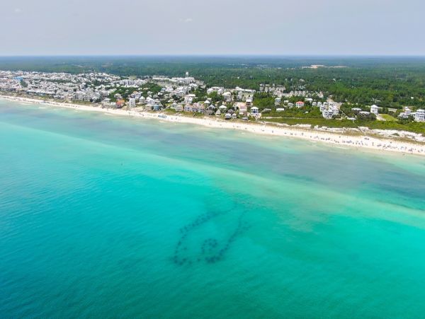 Inlet Beach The Perfect Retreat for Your Next Vacation