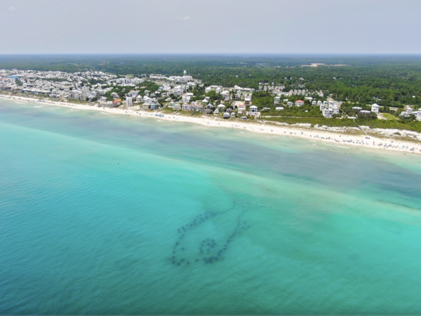 Inlet Beach Luxury Beach Five Bedroom House