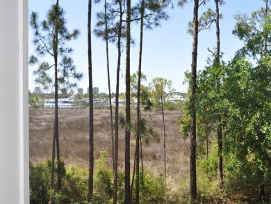 Destin Home 929194