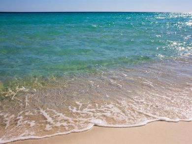 Stunning Beachfront Open Concept Condo Stunning Beachfront Open Concept Condo
