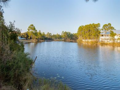 Beaches Of South Walton Condo 929236