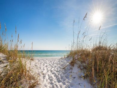Beaches Of South Walton Condo 929236