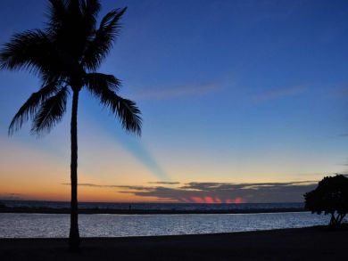 Fort Myers Condo 929385