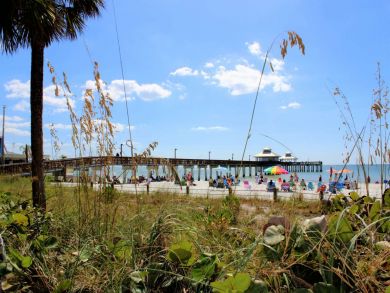 Fort Myers Home 929389