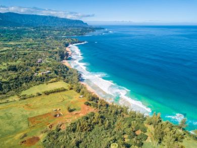 Kilauea Vacation Home Plus 2 Cottages Sleeps Ten Guests