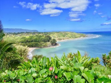 Kilauea Vacation Home Plus 2 Cottages Sleeps Ten Guests