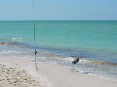 Anna Maria Island Vacation Rental Condo 2 Bedrooms Sleeps 6