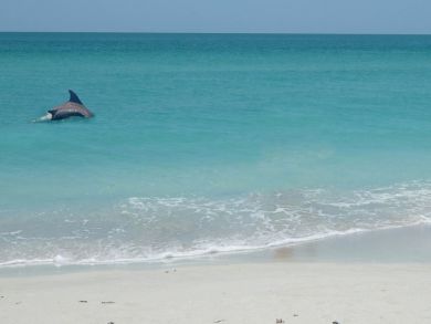 Best Value Holmes Beach Vacation Condo Sleeps 6 Guests