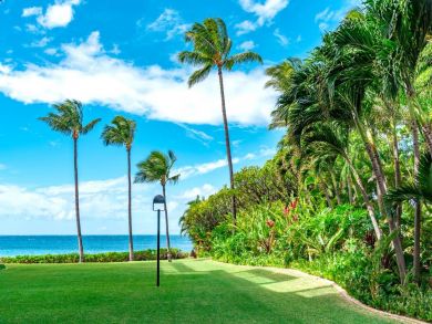 Wailea Vacation Rental Condo Two Bedrooms Partial Ocean View Wailea Vacation Rental Condo Two Bedrooms Partial Ocean View