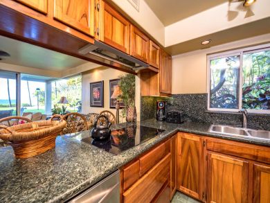 Wailea Vacation Rental Condo Two Bedrooms Partial Ocean View Wailea Vacation Rental Condo Two Bedrooms Partial Ocean View