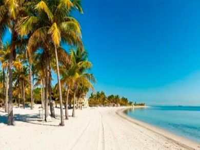 Miami Vacation Home Sleeps Ten Guests
