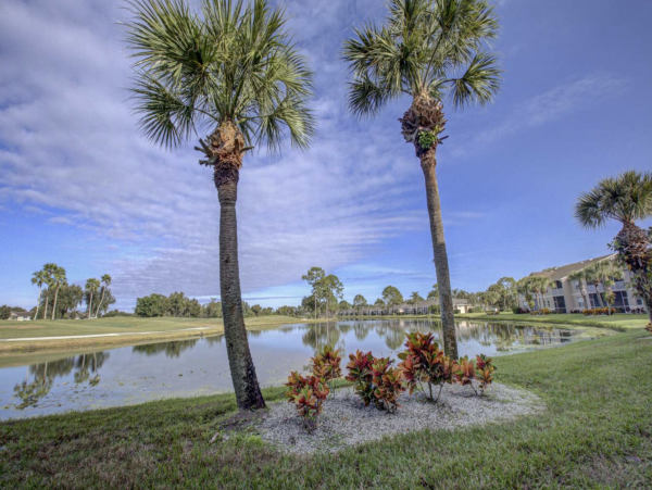 Sarasota 2 Bedroom Plus Den Five Star Guest Amenities