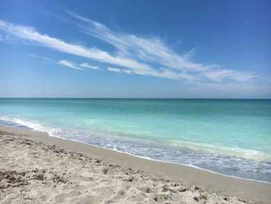 Sarasota Condo 929556
