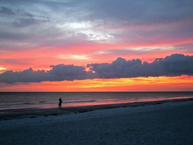 Sarasota Home 929557