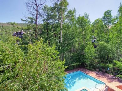 Beaver Creek Vacation Condo Sleeps Six Guests