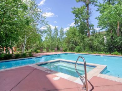 Beaver Creek Vacation Condo Sleeps Six Guests
