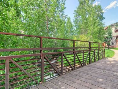Beaver Creek Vacation Condo Sleeps Six Guests