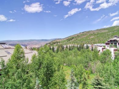 Beaver Creek Vacation Condo Sleeps Six Guests