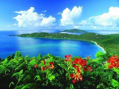 Luxury Caribbean Condo with Sea Views St Thomas and a Pool Luxury Caribbean Condo with Sea Views St Thomas and a Pool