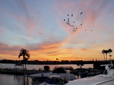 Siesta Key Condo 929612