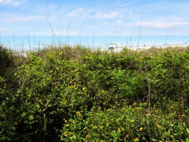 Beaches Of South Walton Home 929663