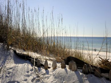 Beaches Of South Walton Home 929704