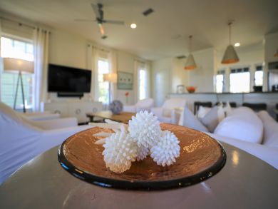 Beaches Of South Walton Home 929878