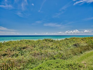 Beaches Of South Walton Condo 929884