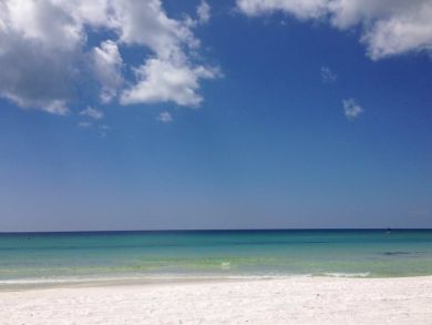 Beaches Of South Walton Condo 929939