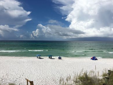 Beaches Of South Walton Condo 929939