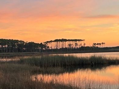 Beaches Of South Walton Condo 929939