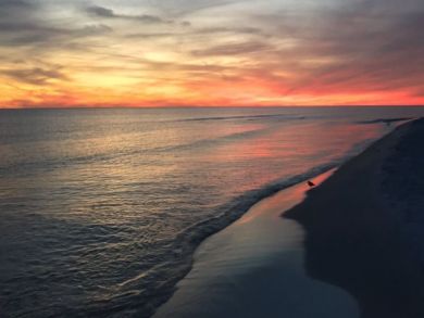 Beaches Of South Walton Condo 929939