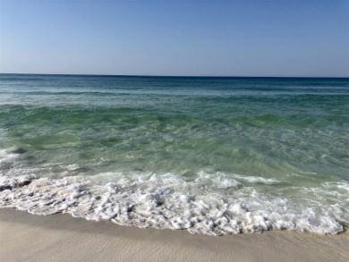 Beaches Of South Walton Condo 929944