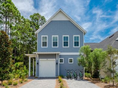 Beaches Of South Walton Home 929954