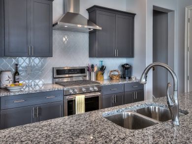 Beaches Of South Walton Home 929956
